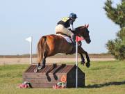 Image 36 in LITTLE DOWNHAM HORSE TRIALS. 29 SEPT 2018 GALLERY WILL BE COMPLETE EARLY MONDAY.