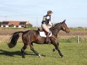 Image 5 in LITTLE DOWNHAM HORSE TRIALS. 29 SEPT 2018 GALLERY WILL BE COMPLETE EARLY MONDAY.