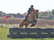 Image 50 in LITTLE DOWNHAM HORSE TRIALS. 29 SEPT 2018 GALLERY WILL BE COMPLETE EARLY MONDAY.