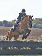 Image 52 in LITTLE DOWNHAM HORSE TRIALS. 29 SEPT 2018 GALLERY WILL BE COMPLETE EARLY MONDAY.