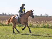 Image 53 in LITTLE DOWNHAM HORSE TRIALS. 29 SEPT 2018 GALLERY WILL BE COMPLETE EARLY MONDAY.