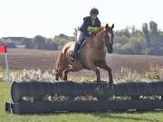 Image 54 in LITTLE DOWNHAM HORSE TRIALS. 29 SEPT 2018  GALLERY WILL BE COMPLETE EARLY MONDAY.