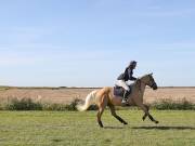 Image 70 in LITTLE DOWNHAM HORSE TRIALS. 29 SEPT 2018 GALLERY WILL BE COMPLETE EARLY MONDAY.