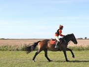 Image 73 in LITTLE DOWNHAM HORSE TRIALS. 29 SEPT 2018 GALLERY WILL BE COMPLETE EARLY MONDAY.