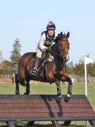 Image 74 in LITTLE DOWNHAM HORSE TRIALS. 29 SEPT 2018 GALLERY WILL BE COMPLETE EARLY MONDAY.