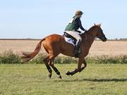 Image 80 in LITTLE DOWNHAM HORSE TRIALS. 29 SEPT 2018 GALLERY WILL BE COMPLETE EARLY MONDAY.