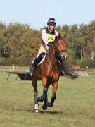 Image 85 in LITTLE DOWNHAM HORSE TRIALS. 29 SEPT 2018 GALLERY WILL BE COMPLETE EARLY MONDAY.
