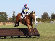 Image 89 in LITTLE DOWNHAM HORSE TRIALS. 29 SEPT 2018 GALLERY WILL BE COMPLETE EARLY MONDAY.