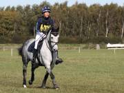 Image 92 in LITTLE DOWNHAM HORSE TRIALS. 29 SEPT 2018 GALLERY WILL BE COMPLETE EARLY MONDAY.