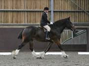 Image 103 in DRESSAGE AT WORLD HORSE WELFARE. 6TH OCTOBER 2018