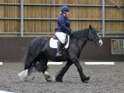 Image 106 in DRESSAGE AT WORLD HORSE WELFARE. 6TH OCTOBER 2018