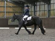 Image 110 in DRESSAGE AT WORLD HORSE WELFARE. 6TH OCTOBER 2018
