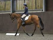 Image 127 in DRESSAGE AT WORLD HORSE WELFARE. 6TH OCTOBER 2018