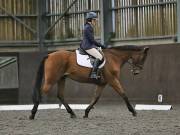 Image 133 in DRESSAGE AT WORLD HORSE WELFARE. 6TH OCTOBER 2018