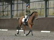 Image 136 in DRESSAGE AT WORLD HORSE WELFARE. 6TH OCTOBER 2018