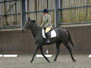 Image 14 in DRESSAGE AT WORLD HORSE WELFARE. 6TH OCTOBER 2018