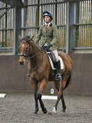 Image 141 in DRESSAGE AT WORLD HORSE WELFARE. 6TH OCTOBER 2018