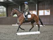 Image 142 in DRESSAGE AT WORLD HORSE WELFARE. 6TH OCTOBER 2018