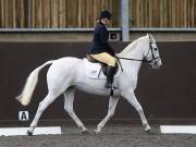 Image 15 in DRESSAGE AT WORLD HORSE WELFARE. 6TH OCTOBER 2018