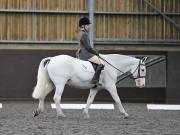 Image 154 in DRESSAGE AT WORLD HORSE WELFARE. 6TH OCTOBER 2018