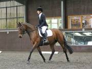 Image 170 in DRESSAGE AT WORLD HORSE WELFARE. 6TH OCTOBER 2018