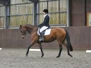 Image 172 in DRESSAGE AT WORLD HORSE WELFARE. 6TH OCTOBER 2018