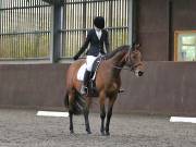 Image 174 in DRESSAGE AT WORLD HORSE WELFARE. 6TH OCTOBER 2018