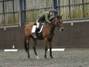 Image 191 in DRESSAGE AT WORLD HORSE WELFARE. 6TH OCTOBER 2018