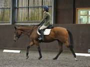 Image 192 in DRESSAGE AT WORLD HORSE WELFARE. 6TH OCTOBER 2018