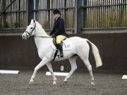 Image 22 in DRESSAGE AT WORLD HORSE WELFARE. 6TH OCTOBER 2018