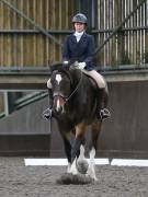 Image 37 in DRESSAGE AT WORLD HORSE WELFARE. 6TH OCTOBER 2018