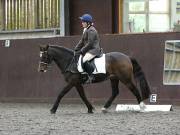Image 47 in DRESSAGE AT WORLD HORSE WELFARE. 6TH OCTOBER 2018