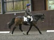 Image 70 in DRESSAGE AT WORLD HORSE WELFARE. 6TH OCTOBER 2018