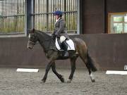 Image 71 in DRESSAGE AT WORLD HORSE WELFARE. 6TH OCTOBER 2018