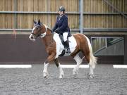 Image 87 in DRESSAGE AT WORLD HORSE WELFARE. 6TH OCTOBER 2018