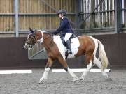 Image 91 in DRESSAGE AT WORLD HORSE WELFARE. 6TH OCTOBER 2018