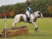 Image 104 in BECCLES AND BUNGAY RIDING CLUB. HUNTER TRIAL. 14TH. OCTOBER 2018