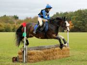 Image 115 in BECCLES AND BUNGAY RIDING CLUB. HUNTER TRIAL. 14TH. OCTOBER 2018
