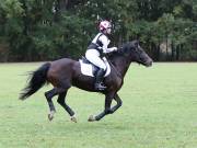 Image 136 in BECCLES AND BUNGAY RIDING CLUB. HUNTER TRIAL. 14TH. OCTOBER 2018