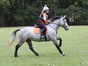 Image 146 in BECCLES AND BUNGAY RIDING CLUB. HUNTER TRIAL. 14TH. OCTOBER 2018