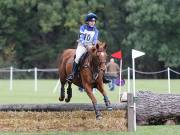 Image 147 in BECCLES AND BUNGAY RIDING CLUB. HUNTER TRIAL. 14TH. OCTOBER 2018
