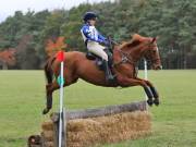 Image 148 in BECCLES AND BUNGAY RIDING CLUB. HUNTER TRIAL. 14TH. OCTOBER 2018