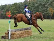 Image 150 in BECCLES AND BUNGAY RIDING CLUB. HUNTER TRIAL. 14TH. OCTOBER 2018