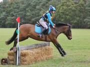 Image 151 in BECCLES AND BUNGAY RIDING CLUB. HUNTER TRIAL. 14TH. OCTOBER 2018