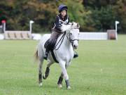 Image 156 in BECCLES AND BUNGAY RIDING CLUB. HUNTER TRIAL. 14TH. OCTOBER 2018