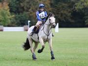 Image 158 in BECCLES AND BUNGAY RIDING CLUB. HUNTER TRIAL. 14TH. OCTOBER 2018