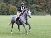 Image 159 in BECCLES AND BUNGAY RIDING CLUB. HUNTER TRIAL. 14TH. OCTOBER 2018