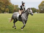 Image 160 in BECCLES AND BUNGAY RIDING CLUB. HUNTER TRIAL. 14TH. OCTOBER 2018