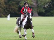 Image 167 in BECCLES AND BUNGAY RIDING CLUB. HUNTER TRIAL. 14TH. OCTOBER 2018