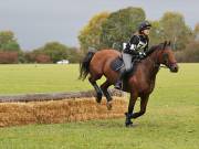 Image 170 in BECCLES AND BUNGAY RIDING CLUB. HUNTER TRIAL. 14TH. OCTOBER 2018